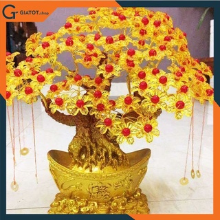 Cây kim tiền phát tài phát lộc đế vàng 7 cành,  14 cành trang trí ngày tết, hàng đẹp GiatotNDH