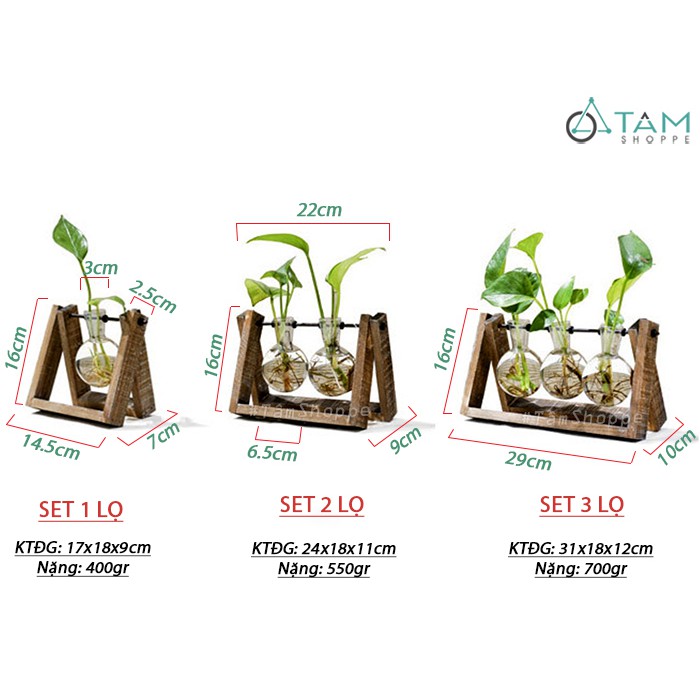 Set khung gỗ lọ hoa thuỷ tinh bóng tròn để bàn W-KGLH-02