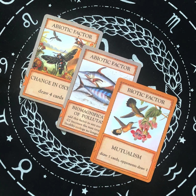 Bộ Bài Tarot Cổ Điển Độc Đáo