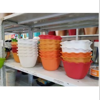 10 chậu bán nguyệt treo hàng rào HÀNH LANG