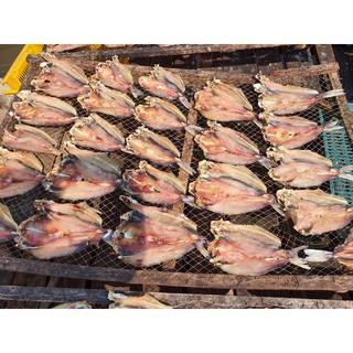 Khô Cá Úc Cà Mau 1 kg