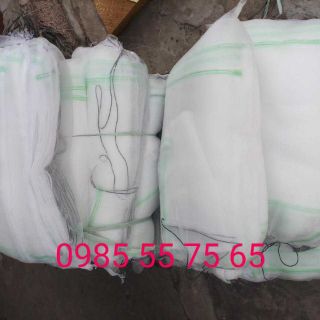 10 túi lưới bao mít có dây rút