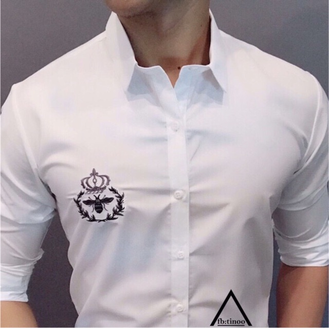 Sơmi thiết kế korea