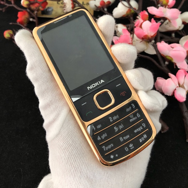 Nokia 6700 gold rose