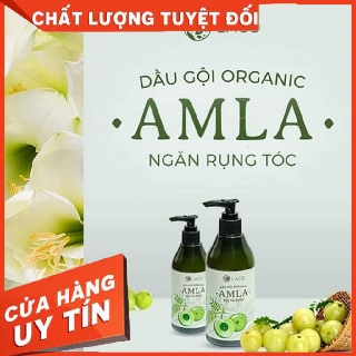 Dầu Gội Organic Amla - Laco - Trị rụng tóc - Cam kết chính hãng