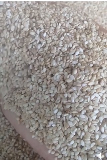 500Gam Vừng (Mè) trắng Oganic