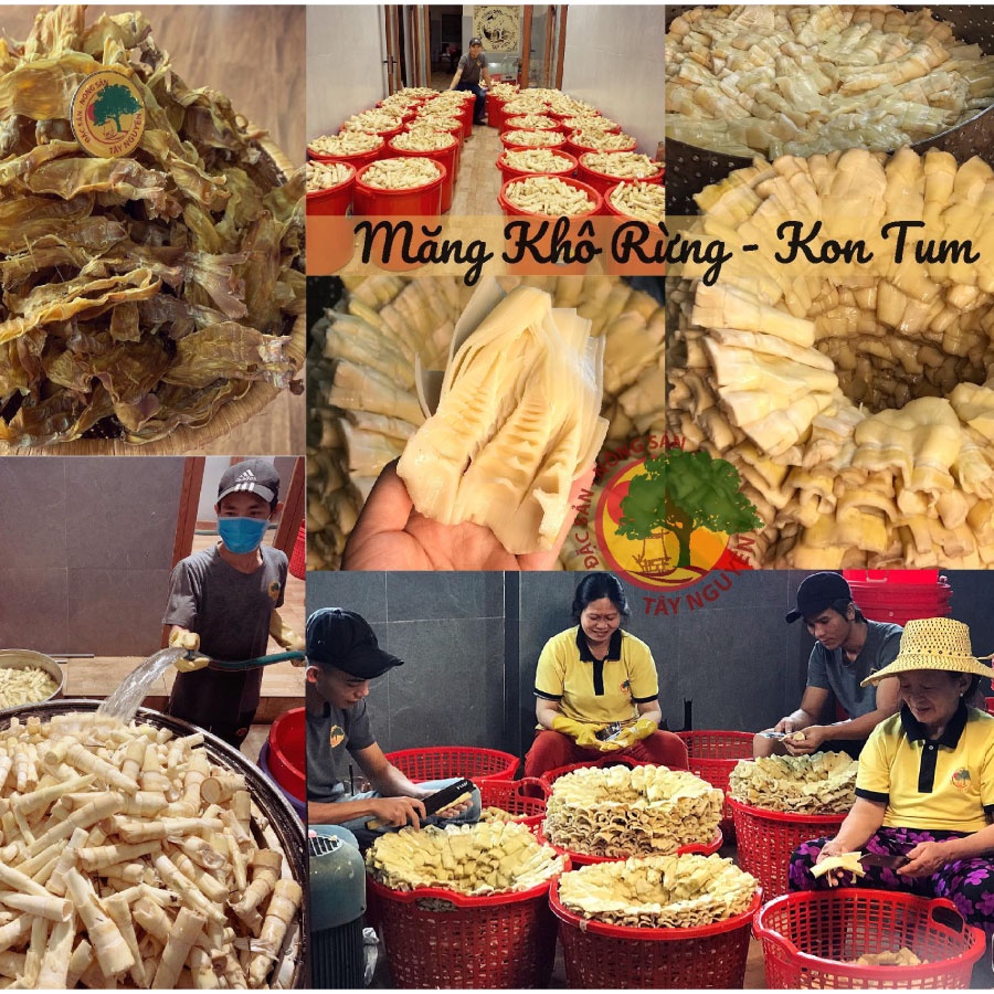 MĂNG KHÔ RỪNG KON TUM