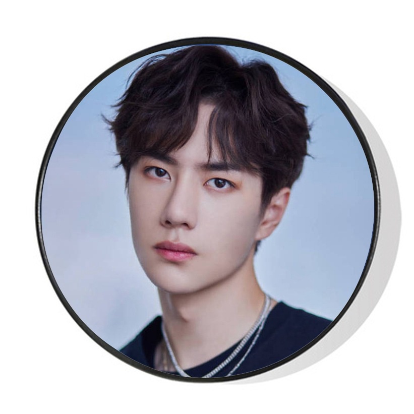 Giá Đỡ Điện Thoại Túi Khí Wang Yibo