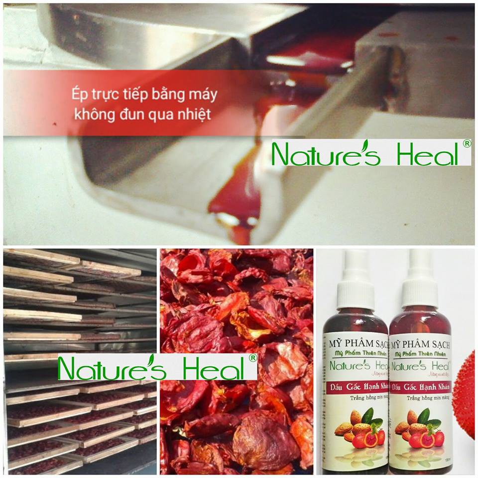 DẦU GẤC & DẦU HẠNH NHÂN NGỌT NATURE'S HEAL | BigBuy360 - bigbuy360.vn