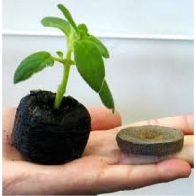 10 viên nén ươm hạt bằng mùn dừa đã dc xử lý bổ sung men vi sinh và chất dinh Dưỡng