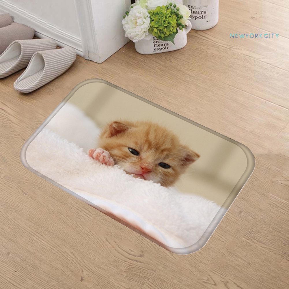 Thảm lót cửa chùi chân Chống Trượt In Hình Mèo 3D