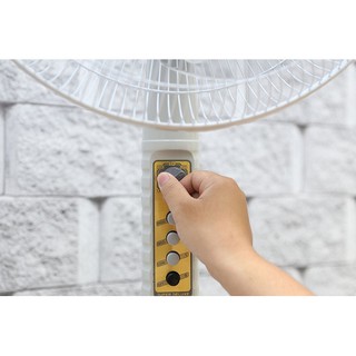 Quạt đứng Lifan Đ-316