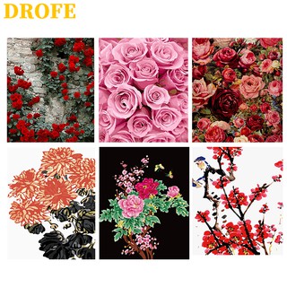 DROFE Bộ Làm Tranh Sơn Dầu Trang Trí DIY Kích Thước 40x50cm