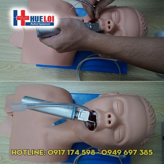 Mô hình thực hành đặt nội khí quản, Mô hình đặt nội khí quản người lớn