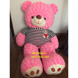 Siêu Rẻ - Siêu đẹp - Gấu Teddy 1m2 - Gấu bông Teddy khổ m2