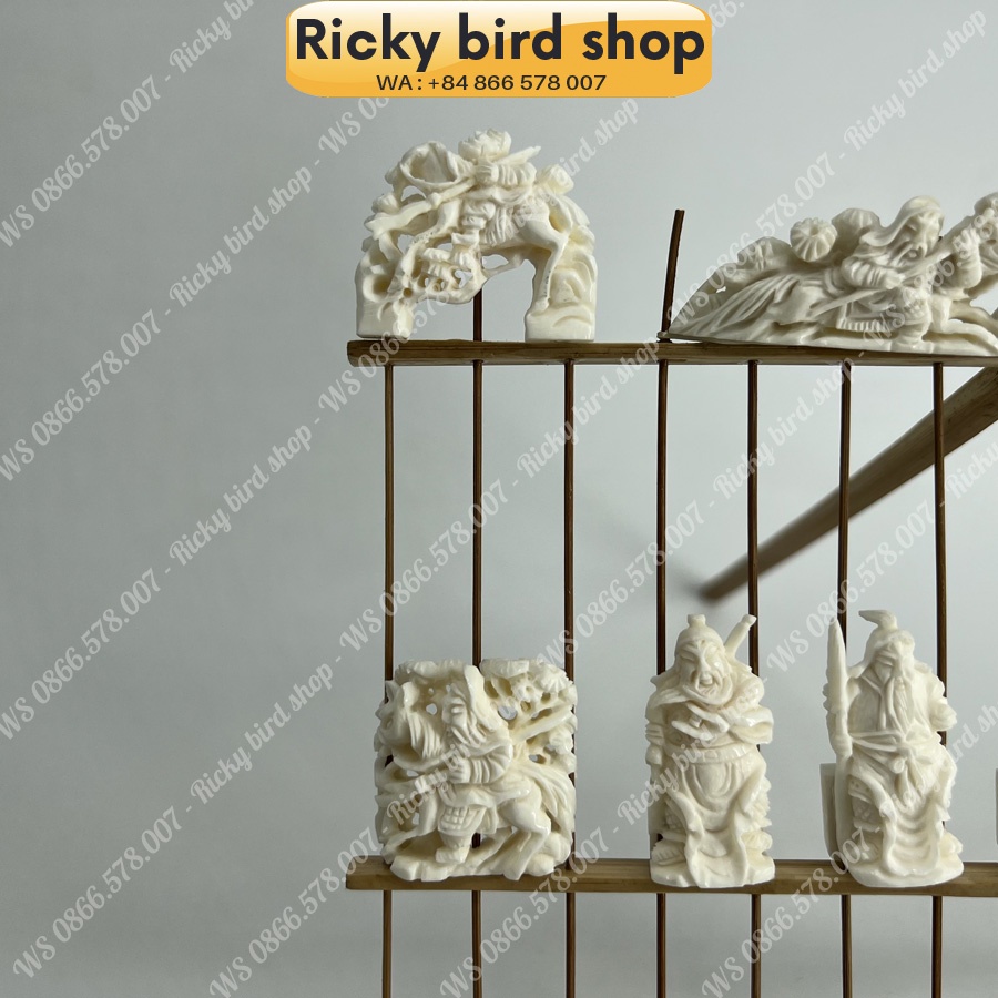 Bone set for Puteh bird cage - Samkok design - Phụ kiện chim Ricky bird shop