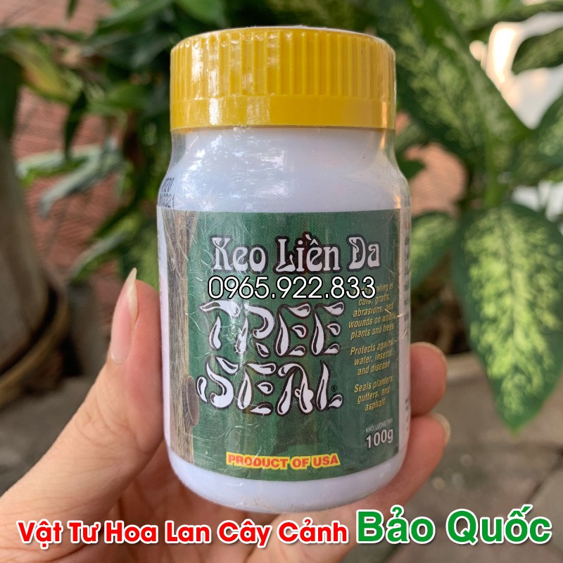 Keo Liền Sẹo cho Hoa Lan, Cây Cảnh Nhập Khẩu Mỹ