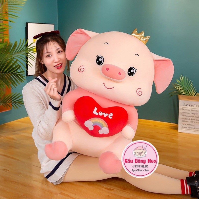 Heo Bông Ôm Tym cầu vòng nhồi bông , hàng cao cấp