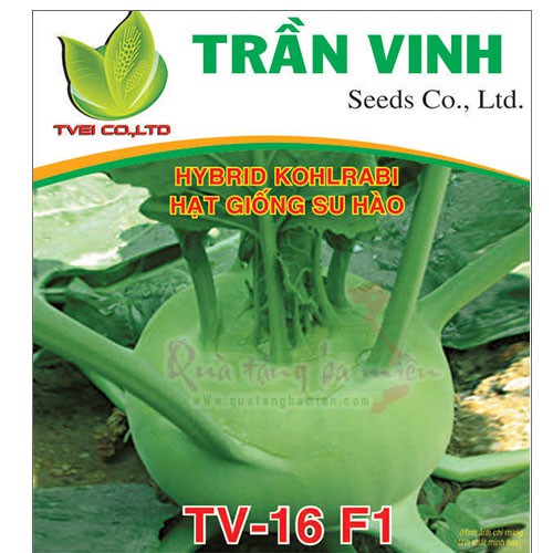 Hạt giống Su hào Hàn Quốc TV16 F1 - 10Gr