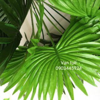 Cây Cọ Trang Trí cao 45cm- Cây Giả