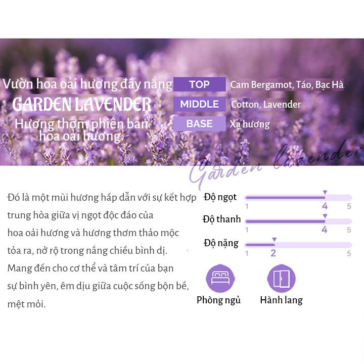 Tinh Dầu Tán Hương Kiểu Thiên Nhiên Cocod'or Lavender Diffuser 200ml Gomi Mall