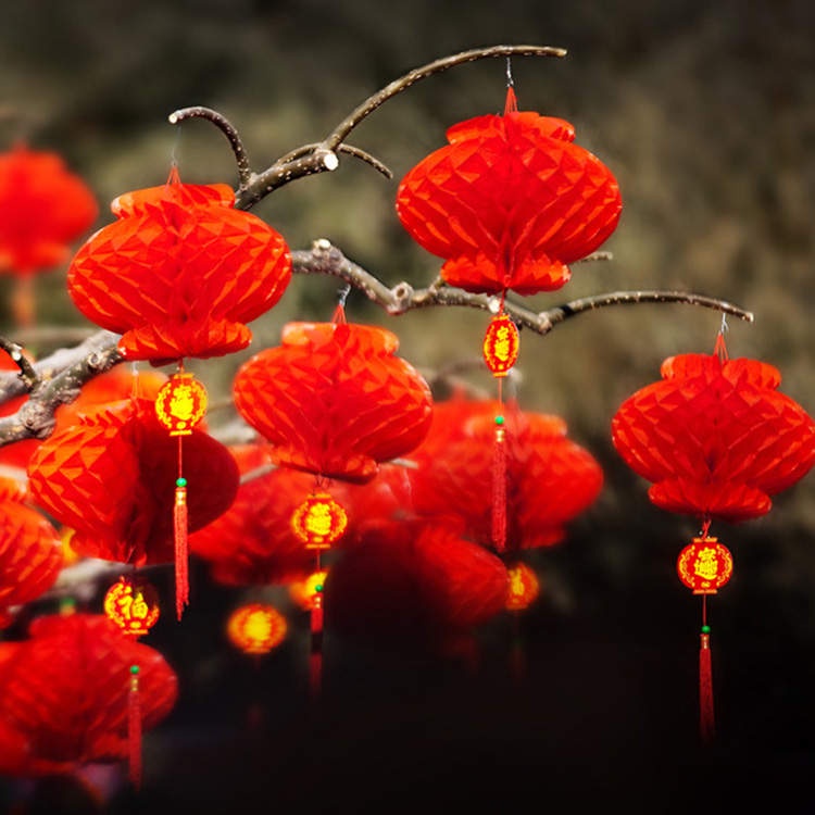 Set 10 lồng đèn đỏ bằng nhựa giấy phong cách trung hoa dùng trang trí nhà cửa