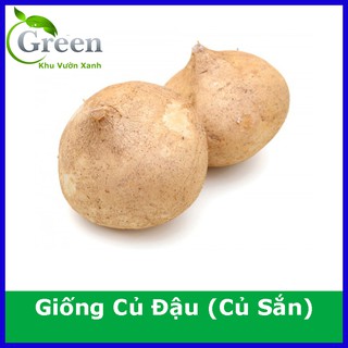 Hạt Giống Củ Đậu (Củ Sắn) Năng Suất Cao, Củ To Đều - Gói 20 Hạt