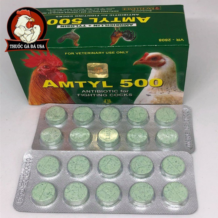 AMTYL 500 CHO GÀ ĐÁ - HỘP X 100 Viên Và Lẻ
