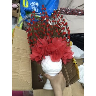 chậu Sứ Nụ Tầm Xuân