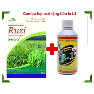 Combo 1.5 kg hạt cỏ ruzi tặng kèm phân bón lá b1