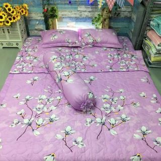 Bộ drap cotton poly full nguyên bộ 5 món