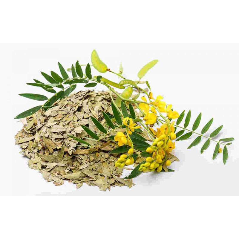 Lá Phan Tả Diệp sấy khô [1KG] Cam kết hàng sạch chuẩn loại 1
