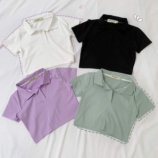 Áo croptop plo trơn cổ bẻ 4 màu hot tts
