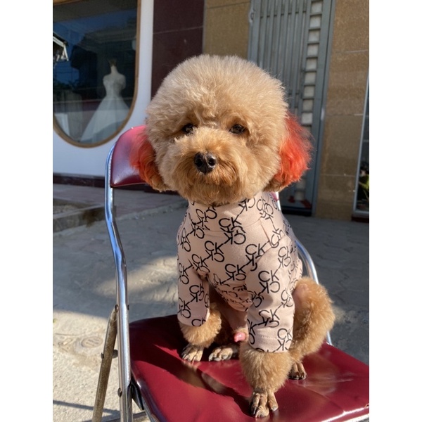 [ Hot sale ] Áo thun nỉ da cá C.K cho thú cưng