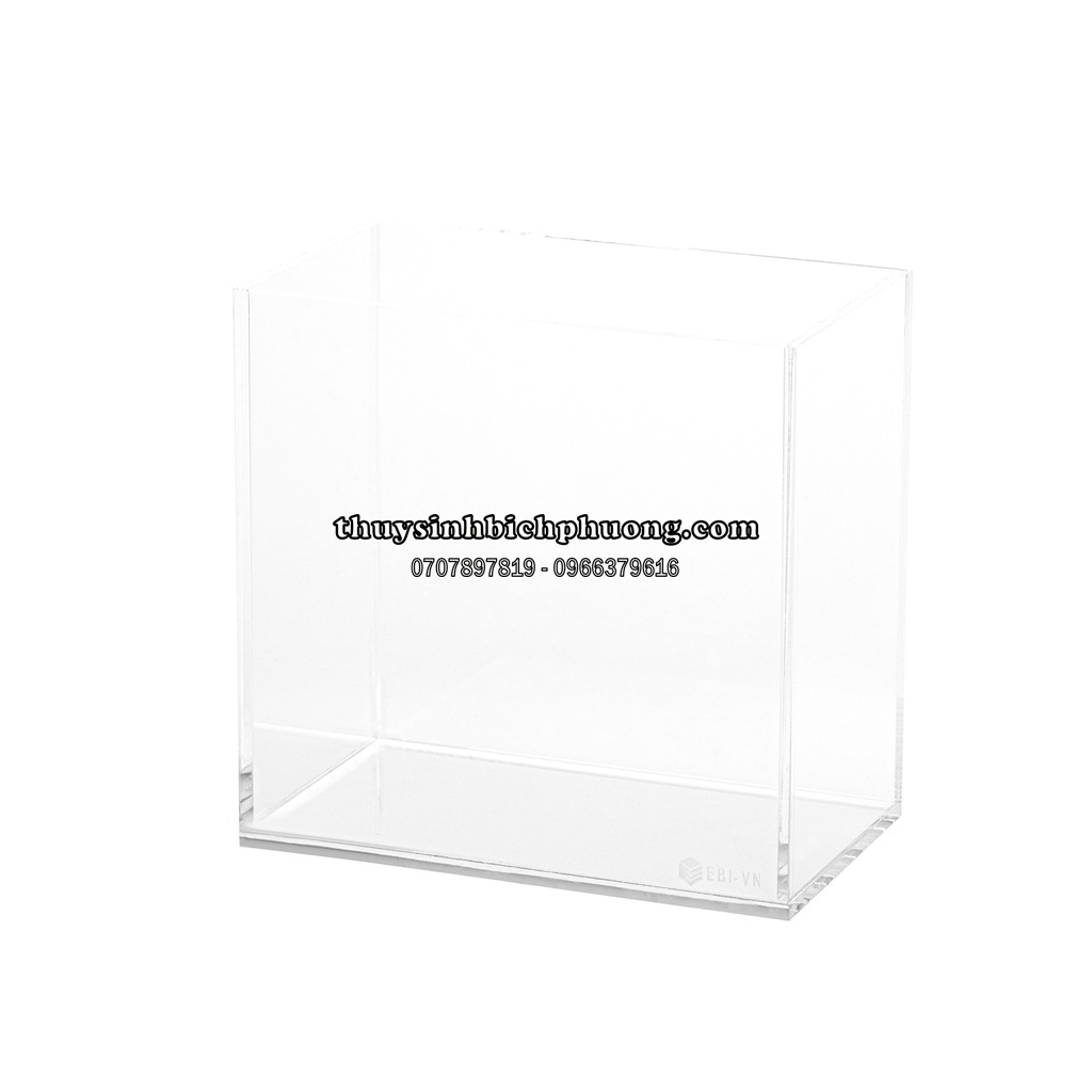 HỒ CÁ CHẤT LIỆU ACRYLIC - CHUYÊN SHOW CÁ NUÔI BETTA ĐỂ BÀN SIÊU ĐẸP