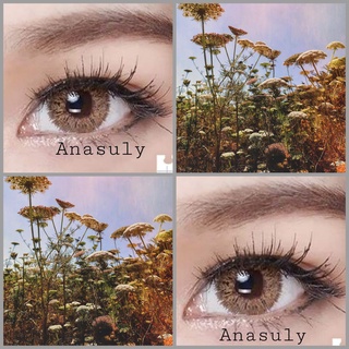 Lens mắt thời trang - Lens nâu tây vân tia vàng giãn tròng