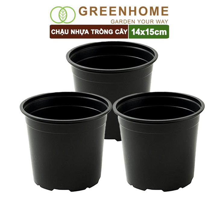 Bộ 3 Chậu nhựa trồng cây, 14x15cm, nhựa cứng, thoát nước tốt, đa dạng kích thước trồng cây, hoa, kiểng lá |Greenhome