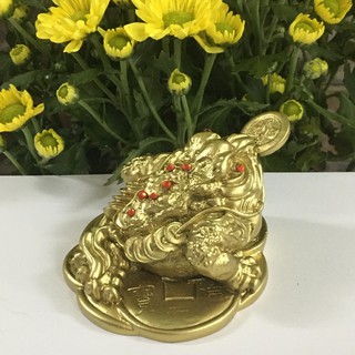 Cóc ngậm tiền mang tài lộc  cao 7 cm rộng 10 cm màu vàng sơn đồng