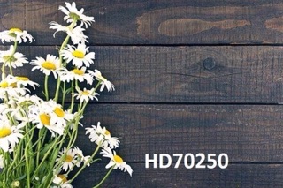Thảm Hiflex 3D chụp ảnh - size 140.200cm
