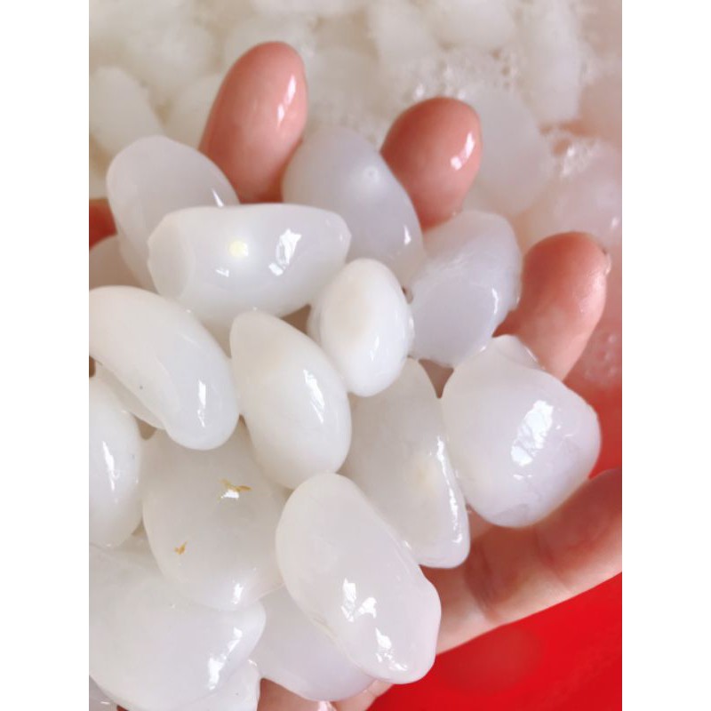 🌴HẠT ĐÁC TƯƠI DẺO - GIÒN - DAI - CHƯA SƠ CHẾ