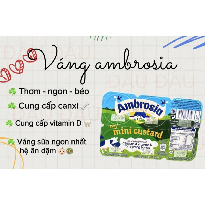 [LẺ HŨ] VÁNG SỮA AMPROSIA CHO BÉ TỪ 6M - VÁNG SỮA NGON NHẤT HỆ ĂN DẶM