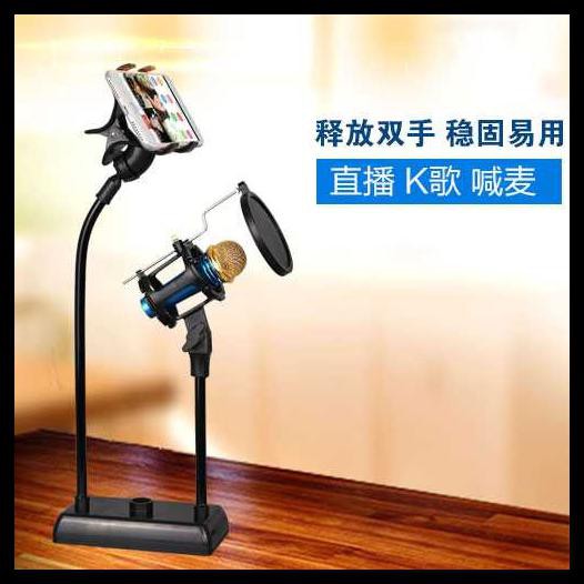 Giá Đỡ Micro Có Bộ Lọc Âm Thanh Dm-722 | BigBuy360 - bigbuy360.vn
