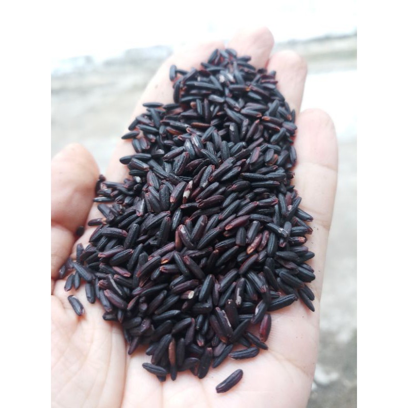 Sỉ gạo lứt đen dẻo