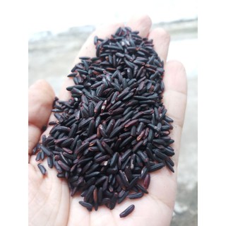 Sỉ gạo lứt đen dẻo