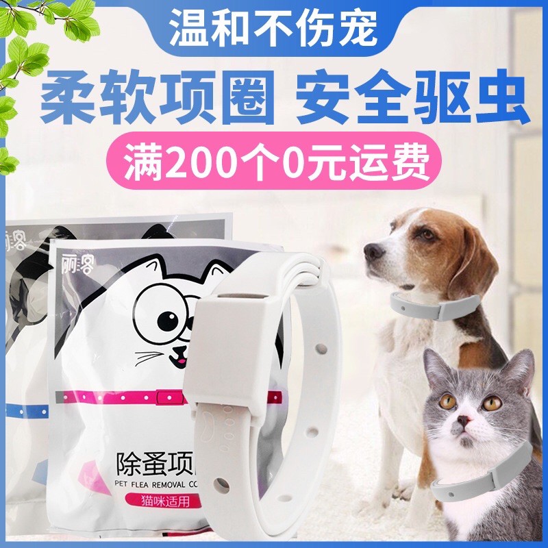 Vòng đuổi rận cho boss