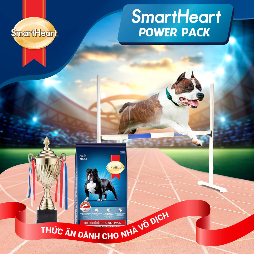 Thức Ăn Hạt Cho Chó Smartheart Power Pack Dành Cho Chó Trưởng Thành 1Kg - Miki Petshop