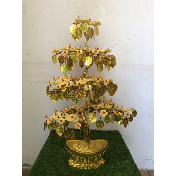 Cây cành vàng lá ngọc..Cao 65cm rộng 45cm