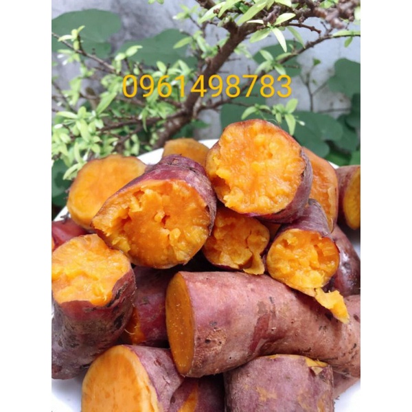 Combo 3kg khoai lang mật Tà NungĐà Lạt size 68 củ 1kg