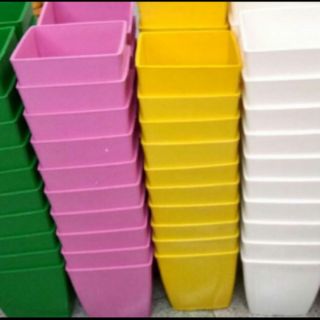 Chậu vuông v 9cm mới về