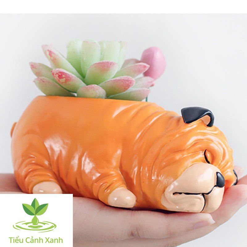 Chậu cây chó Bull ngủ say - chậu trồng cây